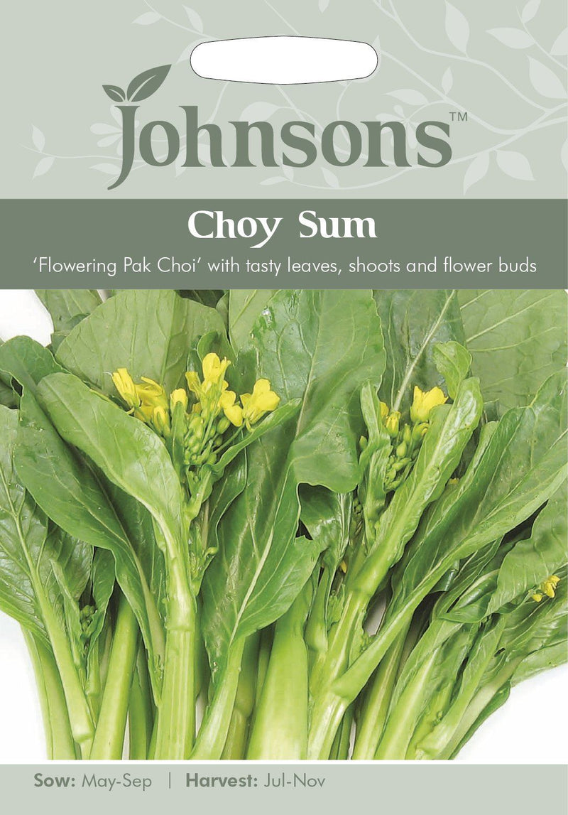 Choy Sum Seeds
