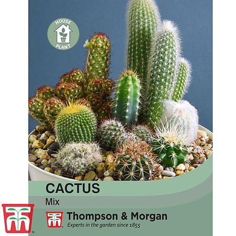 Cactus Mix Flower Seeds