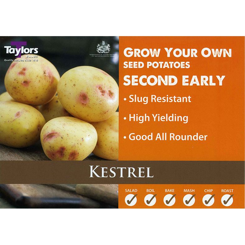 Kestrel Second Early Seed Potatoes 2kg