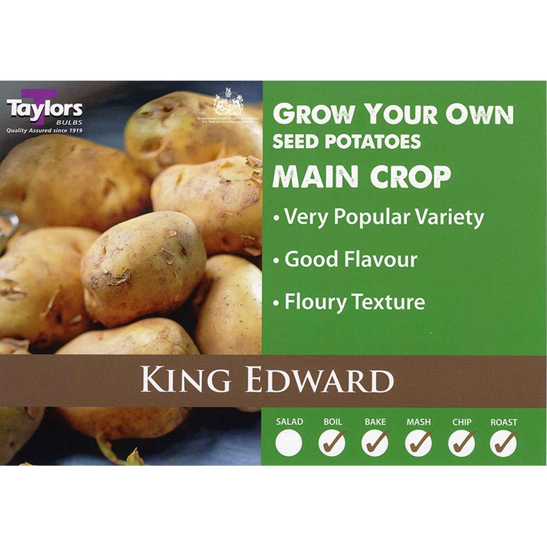 King Edward Main Crop Seed Potatoes 2kg