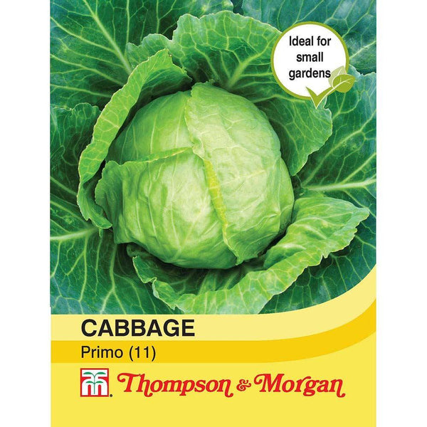 Cabbage Primo (11) Seeds
