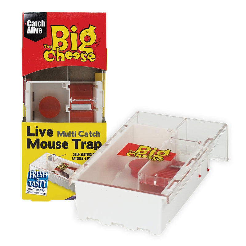 Mouse Trap Live-Multi Catch