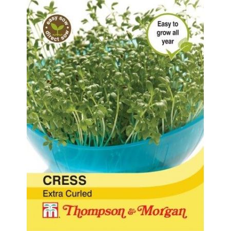 Cress Extra Curled  | Cornwall Garden Shop | UK