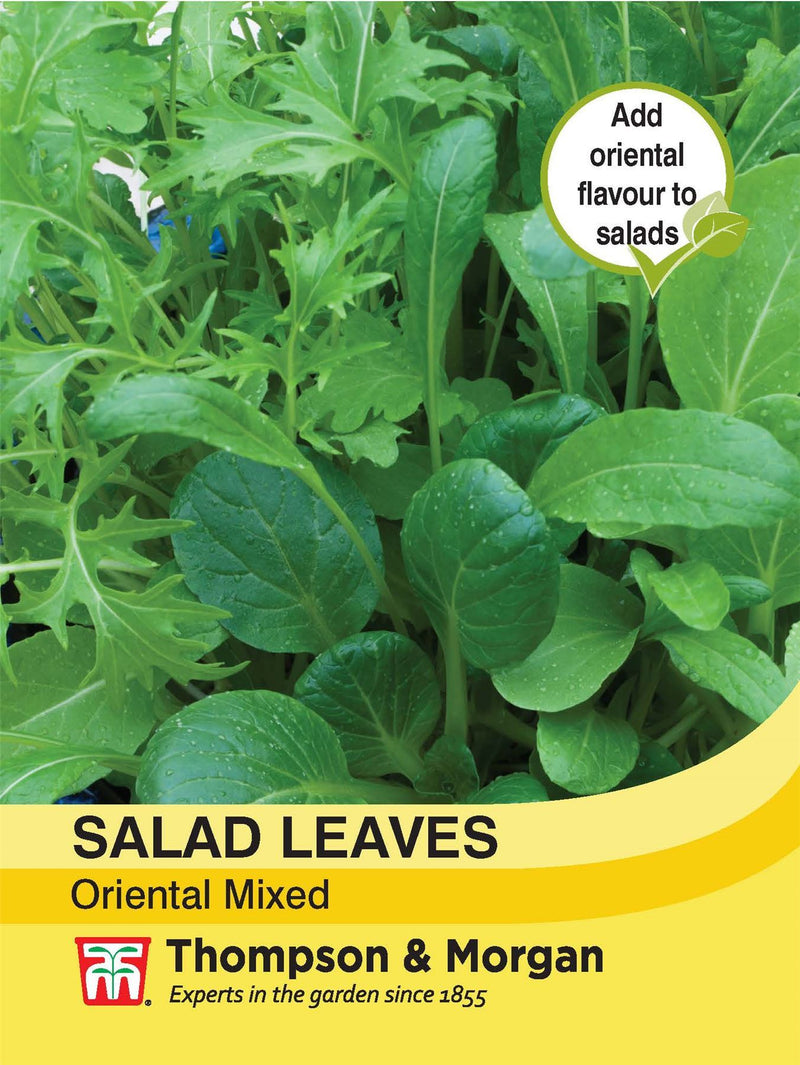 Salad Leaves Oriental Mixed Seeds