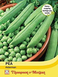 Pea Alderman Vegetable Seeds