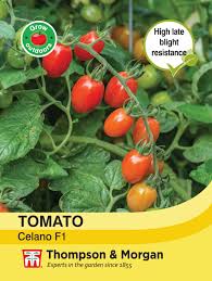 Tomato Celano F1 Seeds