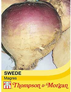 Swede Magres Seeds