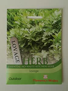 Lovage Herb Seeds