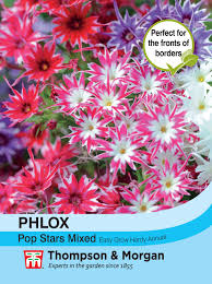 Phlox Popstars Flower Seeds