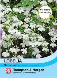 Lobelia Snowball Flower Seeds