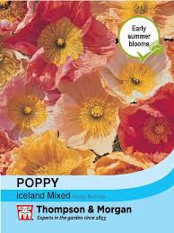Poppy Iceland Mixed Flower Seeds