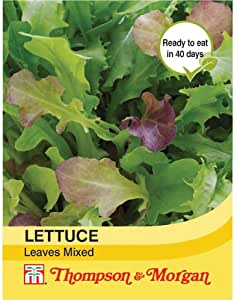 Lettuce Leaves Mixed Seeds