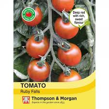 Tomato Ruby Falls Seeds