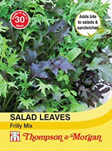 Salad Leaves Frilly Mix Seeds