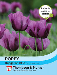 Poppy Hungarian Blue Flower Seeds