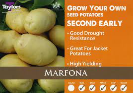 Marfona Second Early Seed Potatoes 2kg
