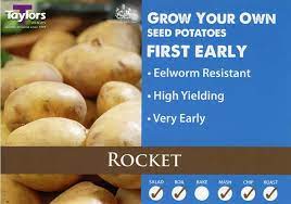 Rocket First Early Seed Potatoes 2kg