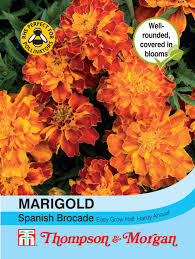 Marigold Spanish Brocade (French) Flower Seeds