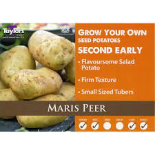 Maris Peer Second Early Seed Potatoes 2kg