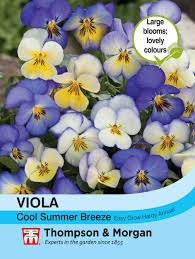 Viola Cool Summer Breeze Takii Mixed Flower Seeds