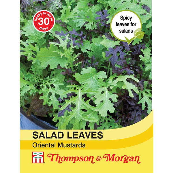Salad Leaves Oriental Mustards Seeds