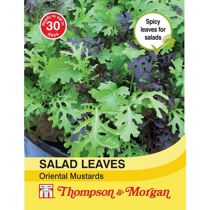 Salad Leaves Oriental Mustards Seeds