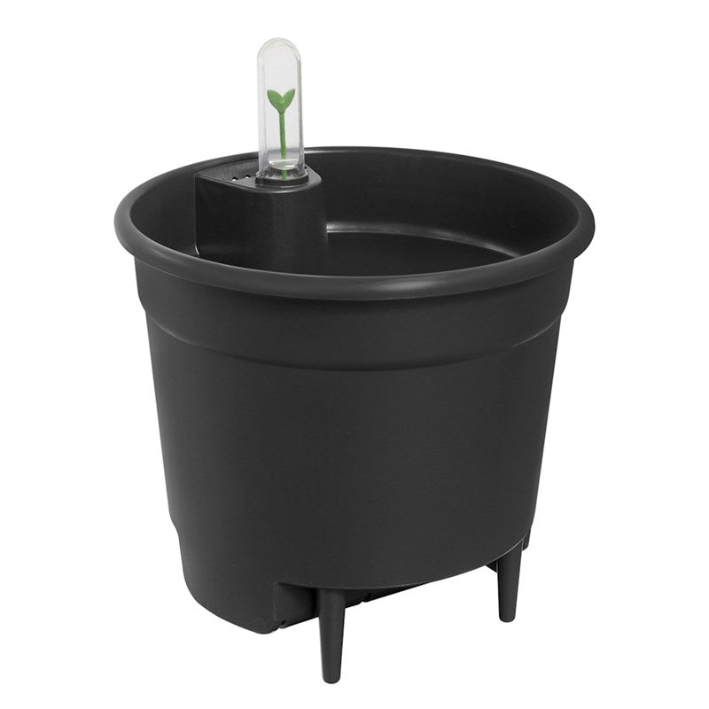 Self Watering Insert 28cm Living Black | Cornwall Garden Shop | UK