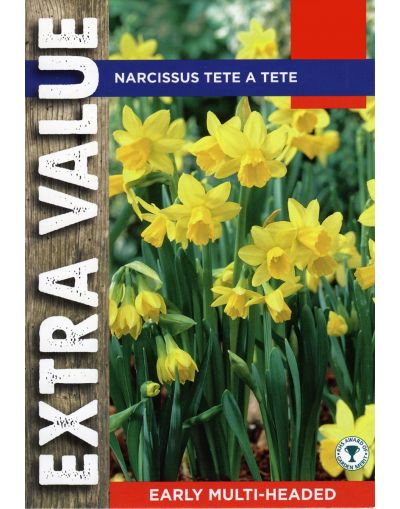 Packet daffodil bulbs