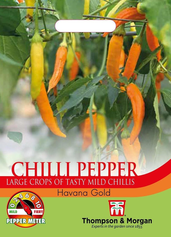 Pepper Chilli Havana Gold Seeds