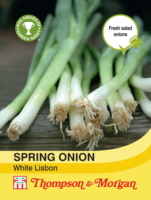 Spring Onion White Lisbon Seeds