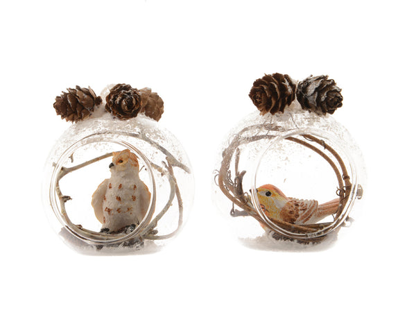 Bauble Glass Transparent Pinecones