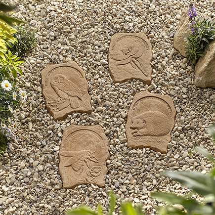 Stepping Stone RHS Wildlife York Gold 40cm x 30cm - 4 Assorted, 1 Supplied