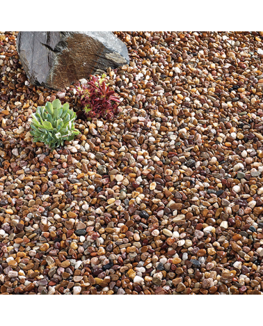 Quartzite Pea 10mm | Cornwall Garden Shop | UK