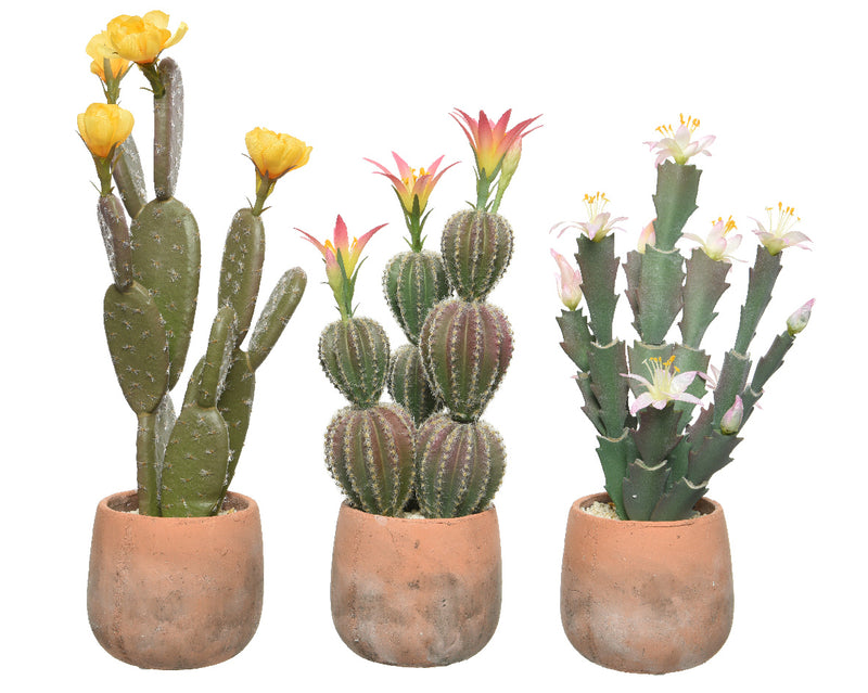 Cactus In Pot Plastic