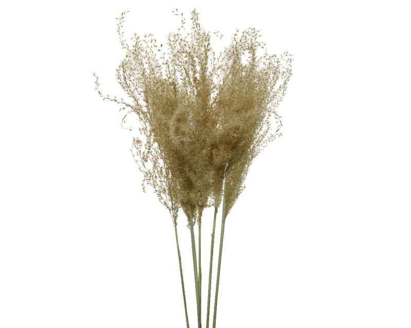 Large Dried Bouquet