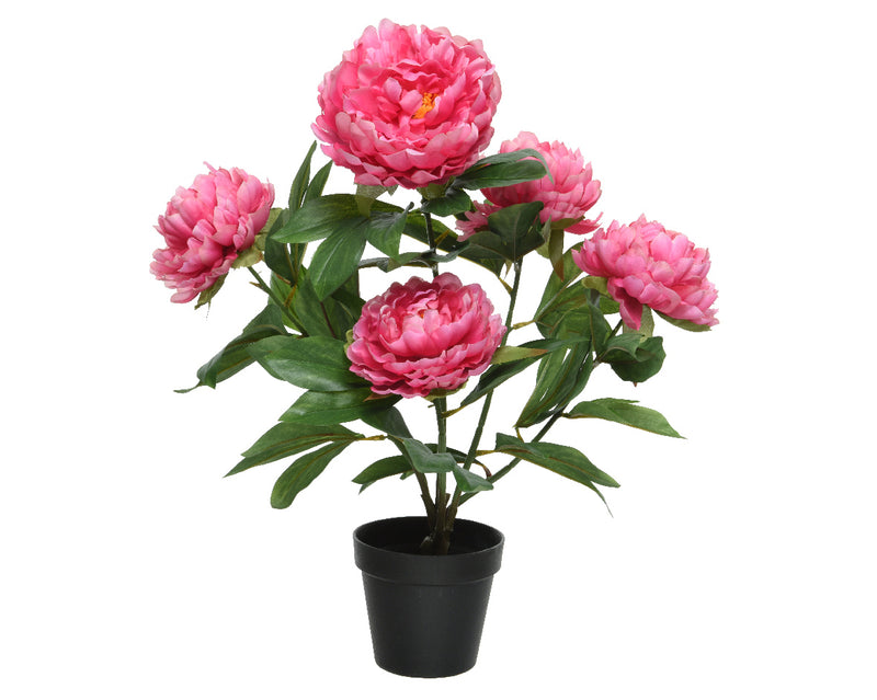 Peony Rose In Pot Polyester