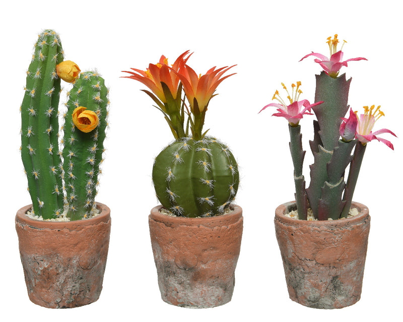 Cactus In Pot Plastic