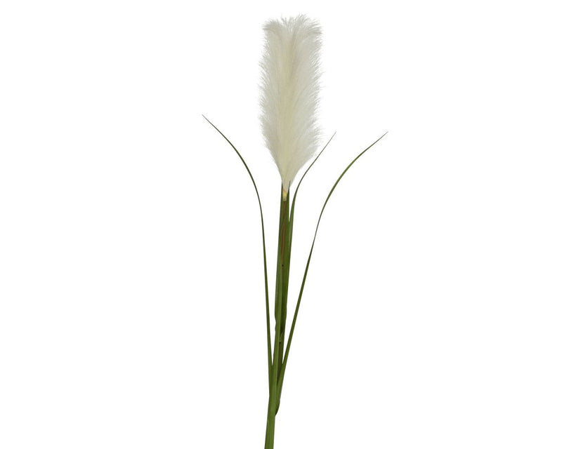 Grass Pampas Plastic