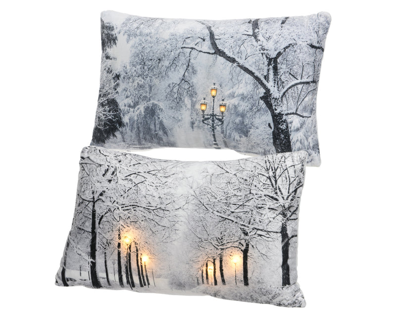 Led Cushion Landscape 2Ass Bo