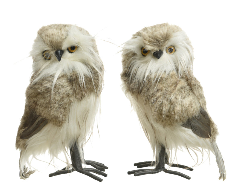 Foam Owl With Plush