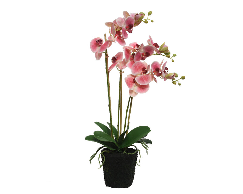 Orchid In Pot Polyester