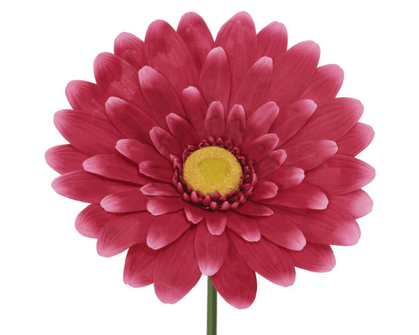 Gerbera Polyester