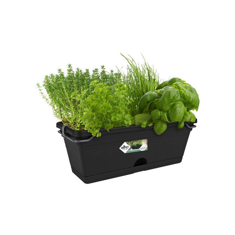 Green Basics Trough Mini 30cm Living Black | Cornwall Garden Shop | UK