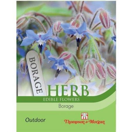 Borage Herb Seeds
