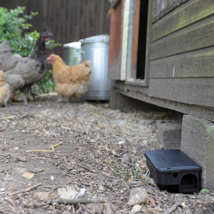 Rat & Mouse Bait Station
