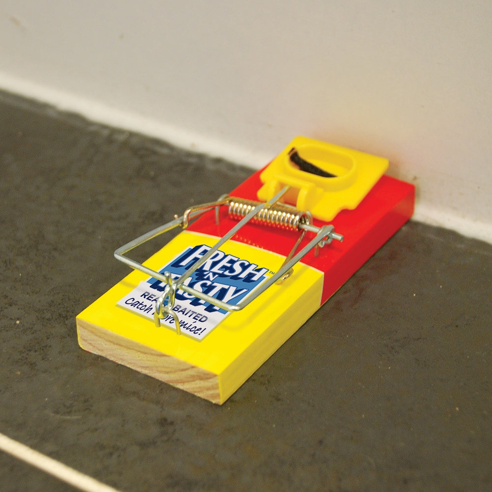Mouse Trap Fresh Baited