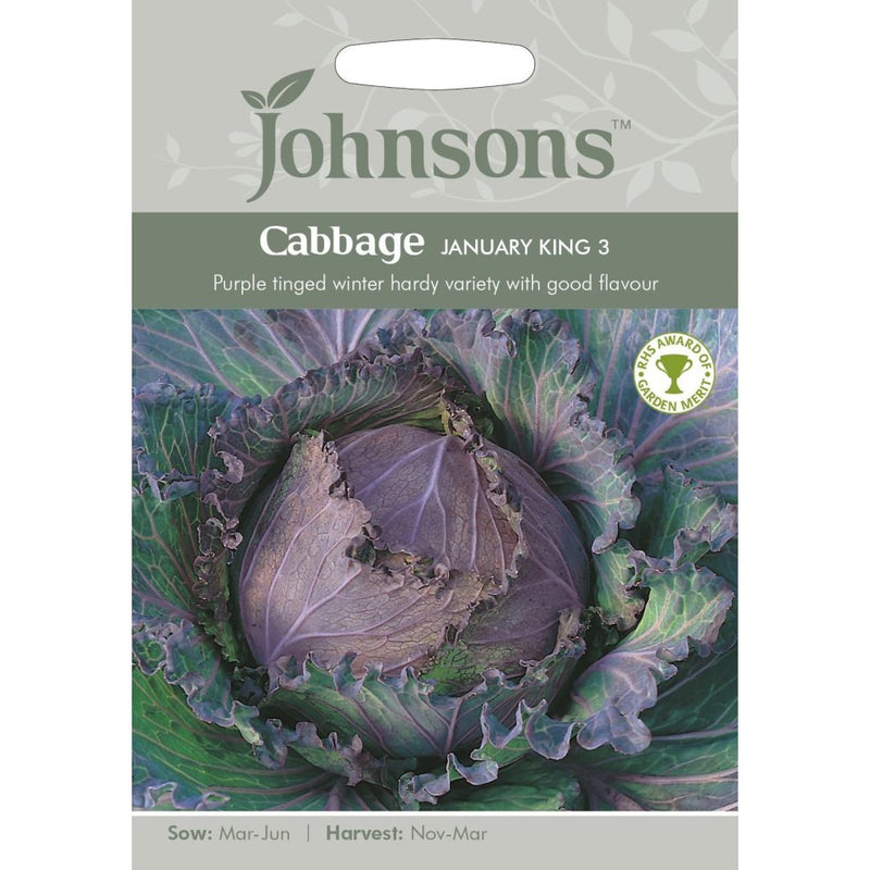 Cabbage January King 3 Seeds