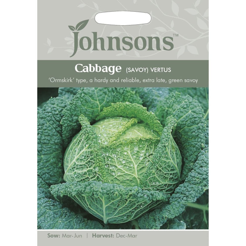 Cabbage (Savoy) Vertus Seeds