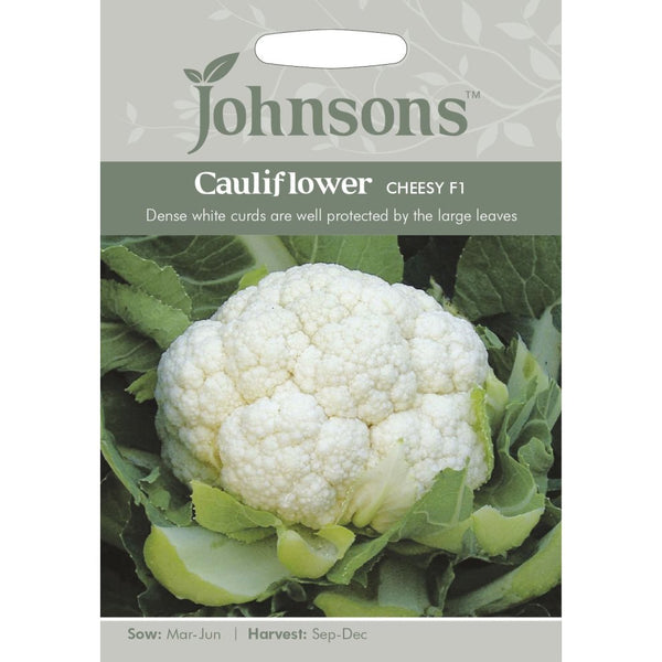 Cauliflower Cheesy F1 Seeds