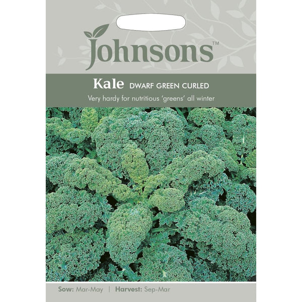 Kale Dwarf Green Curled Seeds